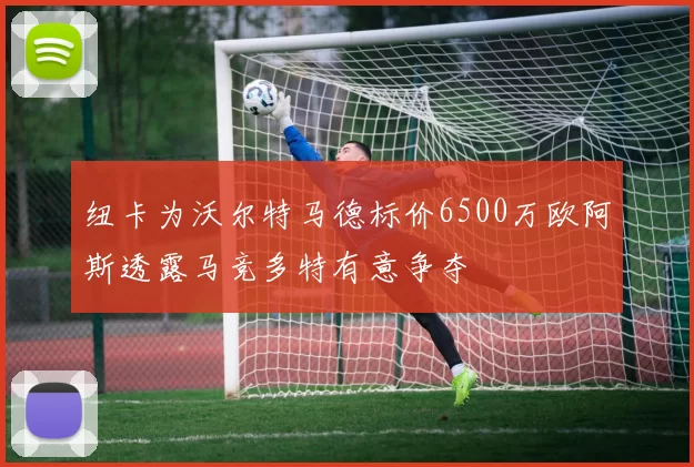 纽卡为沃尔特马德标价6500万欧阿斯透露马竞多特有意争夺